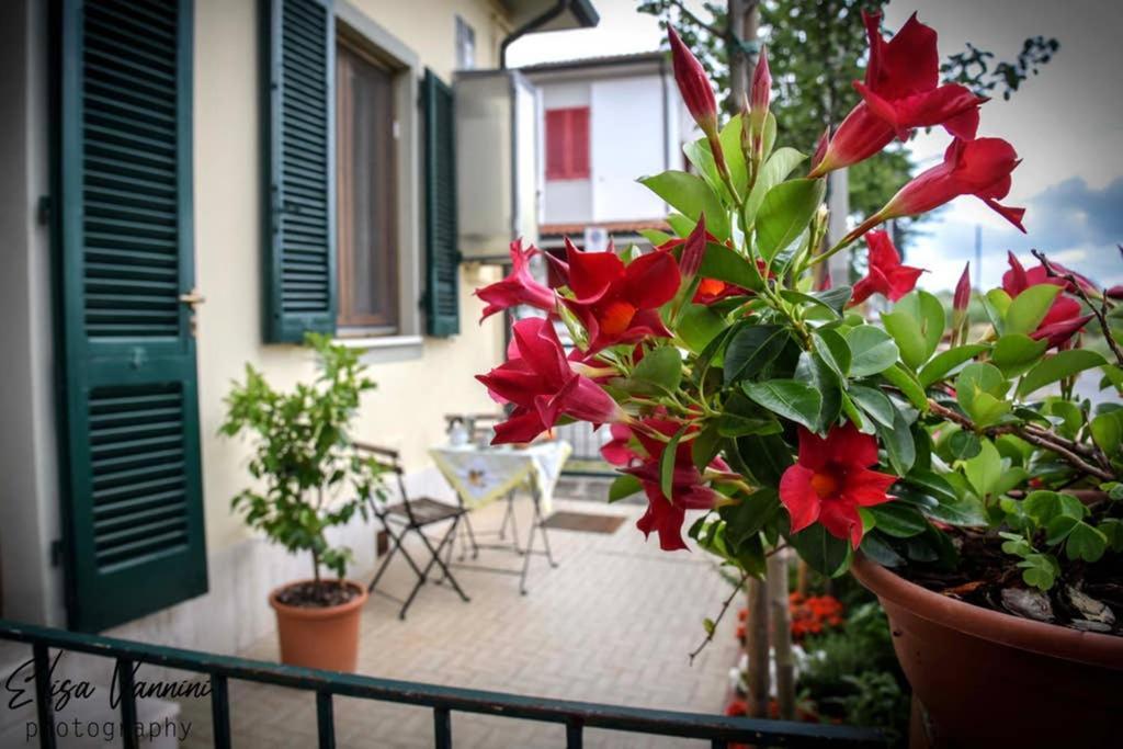 Casa Letizia Apartment Ponsacco Exterior photo